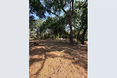 2305 County Road 425C, Cleburne, TX 76031 - Photo 14