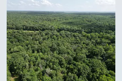 9999 Fm 409, Monkstown, TX 75446 - Photo 10