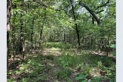 9999 Fm 409, Monkstown, TX 75446 - Photo 16