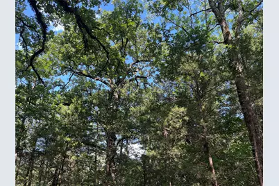 9999 Fm 409, Monkstown, TX 75446 - Photo 20