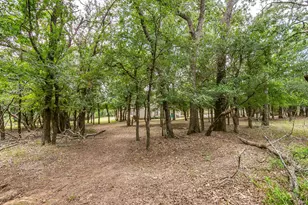 1110 Jones Rd, Weatherford, TX 76088 - Photo 36