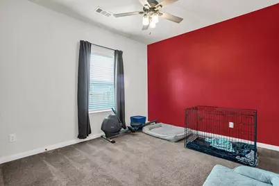 317 Michelle Street, Aubrey, TX 76227 - Photo 22