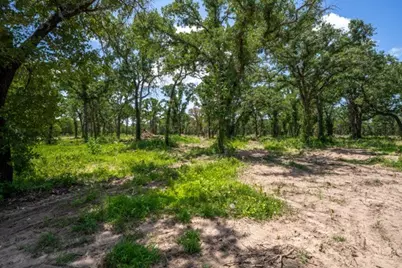 Tbd- Tract 4 Hard Rock Lane, Mineral Wells, TX 76067 - Photo 4