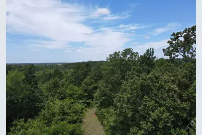 Tbd 35 +/- Ac Vz County Road 4814, Ben Wheeler, TX 75754 - Photo 8