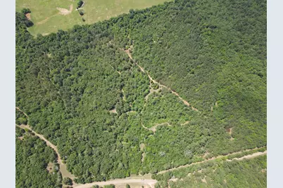 Tbd 35 +/- Ac Vz County Road 4814, Ben Wheeler, TX 75754 - Photo 2