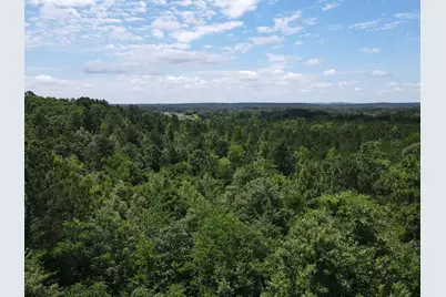 Tbd 35 +/- Ac Vz County Road 4814, Ben Wheeler, TX 75754 - Photo 6