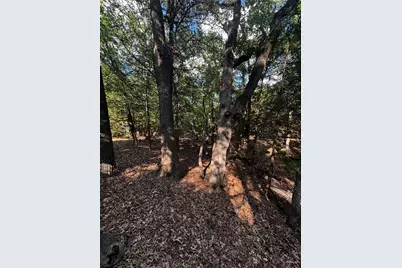 Tbd Woodland Estates Road, Terrell, TX 75160 - Photo 16