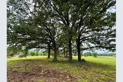430 Shoreline Drive, Dodd City, TX 75438 - Photo 6