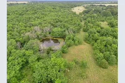Tract 9 County Road 2158, Cooper, TX 75432 - Photo 6