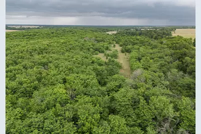 Tract 9 County Road 2158, Cooper, TX 75432 - Photo 4