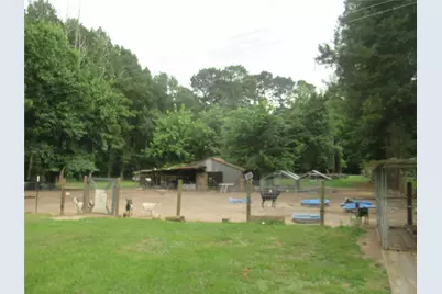 24133 Highway 157, Springhill, LA 71075 - Photo 6