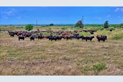 576 Seabourn Road, Henrietta, TX 76365 - Photo 22