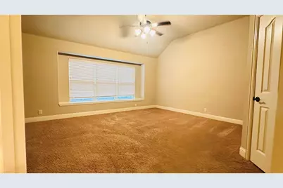 217 Bonsai Drive, Anna, TX 75409 - Photo 8