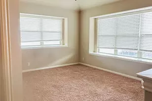 217 Bonsai Dr, Anna, TX 75409 - Photo 16