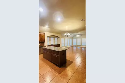 217 Bonsai Drive, Anna, TX 75409 - Photo 6