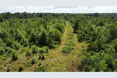 Lot 3 County Road 4507, De Kalb, TX 75559 - Photo 2