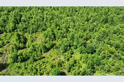 Lot 2 County Road 4507, De Kalb, TX 75559 - Photo 6
