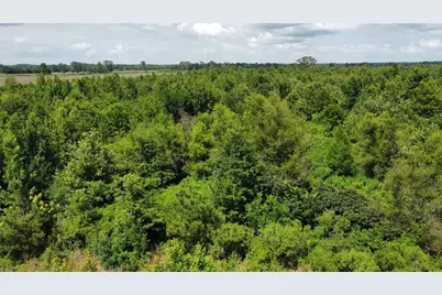 Lot 1 County Road 4507, De Kalb, TX 75559 - Photo 4