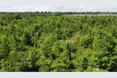 Lot 1 County Road 4507, De Kalb, TX 75559 - Photo 6