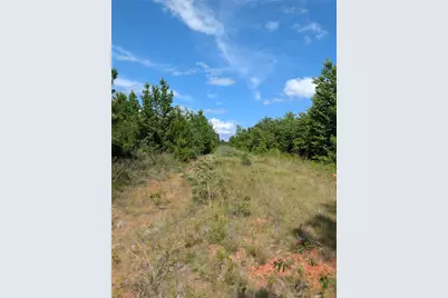 Tbd County Road 4507, De Kalb, TX 75559 - Photo 8