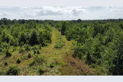 Tbd County Road 4507, De Kalb, TX 75559 - Photo 10