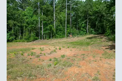 Tbd County Road 2232, Daingerfield, TX 75638 - Photo 24