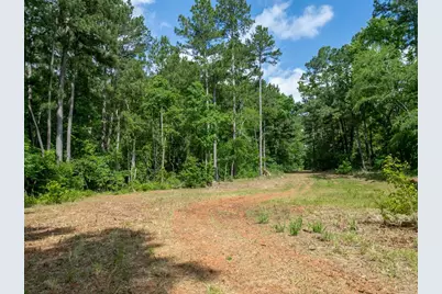 Tbd County Road 2232, Daingerfield, TX 75638 - Photo 30