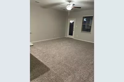 316 Zimmet Drive, Anna, TX 75409 - Photo 12