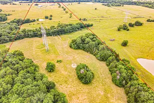 5538 Co Rd 3214, Lone Oak, TX 75453 - Photo 12