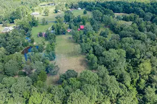 815 Vz County Rd 4409, Ben Wheeler, TX 75754 - Photo 38