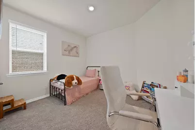 9720 Lariat Drive, Aubrey, TX 76227 - Photo 14