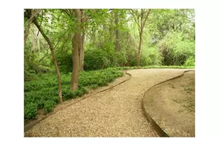 4859 Cedar Springs Rd, Dallas, TX 75219 - Photo 12