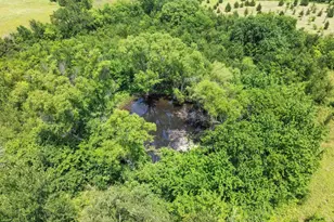 516 County Rd 27450, Honey Grove, TX 75446 - Photo 22