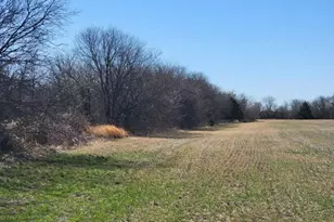 0 Fm 121, Tioga, TX 76271 - Photo 1