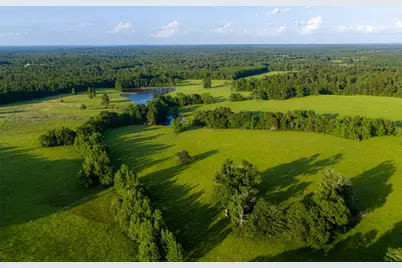 2030 County Road 1640, Grapeland, TX 75844 - Photo 2