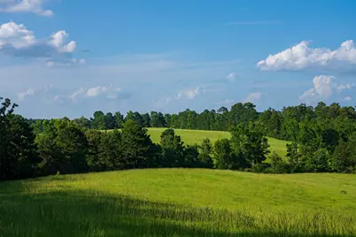 2030 County Road 1640, Grapeland, TX 75844 - Photo 22