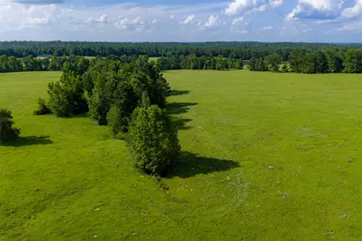 2030 County Road 1640, Grapeland, TX 75844 - Photo 28