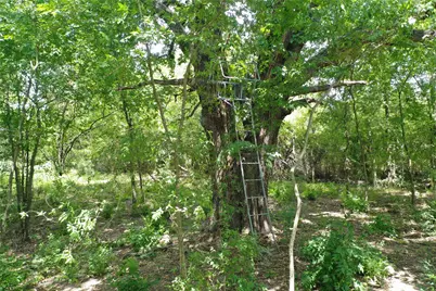 2257 County Road 280, Kaufman, TX 75142 - Photo 16