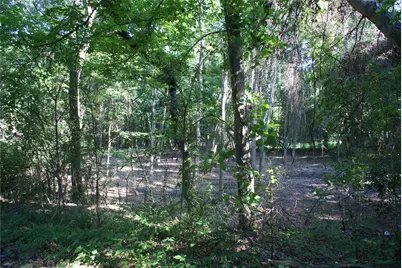 Cr 3713 County Road 3713, Quinlan, TX 75474 - Photo 6