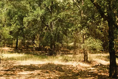 10405 Lipan Highway, Lipan, TX 76462 - Photo 12