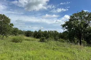 570 Big Salty Ln, Springtown, TX 76082 - Photo 12