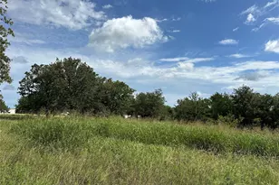570 Big Salty Ln, Springtown, TX 76082 - Photo 22
