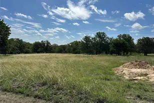 570 Big Salty Ln, Springtown, TX 76082 - Photo 2