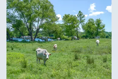 3300 Vz Cr 1903, Edgewood, TX 75117 - Photo 28