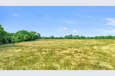 1730 Mackey Road, Gunter, TX 75459 - Photo 6