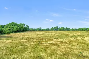 1730 Mackey Rd, Gunter, TX 75459 - Photo 6