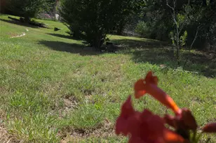 824 FM2256, Mineral Wells, TX 76067 - Photo 26