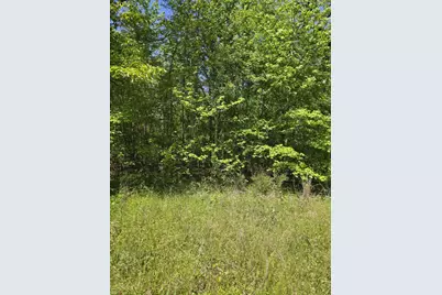 Tbd County Road 421, Tyler, TX 75704 - Photo 8