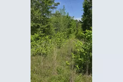 Tbd County Road 421, Tyler, TX 75704 - Photo 1