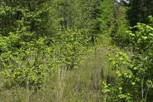 Tbd County Road 421, Tyler, TX 75704 - Photo 1